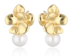 Silberohrringhersteller, Silberschmuckhersteller 925, Kinderohrringe, Damenohrringe, lange Ohrringe, vergoldete Ohrringe, Silberohrringe, Perlenohrringe, Schmetterlingsohrringe, Creolen, Halbkugelohrringe, Halbcreolen, geblasene Ohrringe, Hakenohrringe, Ohrringe mit Verschluss, kleine Ohrringe, Ohrstecker, Ohrringe mit Naturstein, Ohrringe mit Zirkonia, Ohrringe ohne Steine, Ohrringe mit englischem Verschluss, Hängeohrringe, Hochzeitsohrringe, moderne Ohrringdesigns, Schmuckgroßhandel